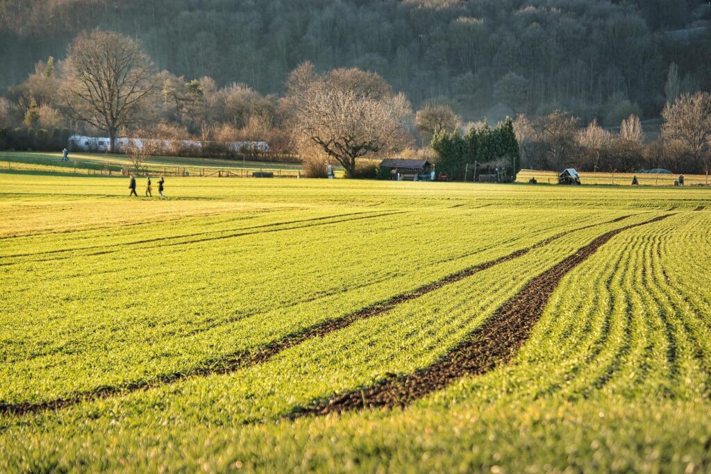 會 ⻑ 的 話（2026年3月）
