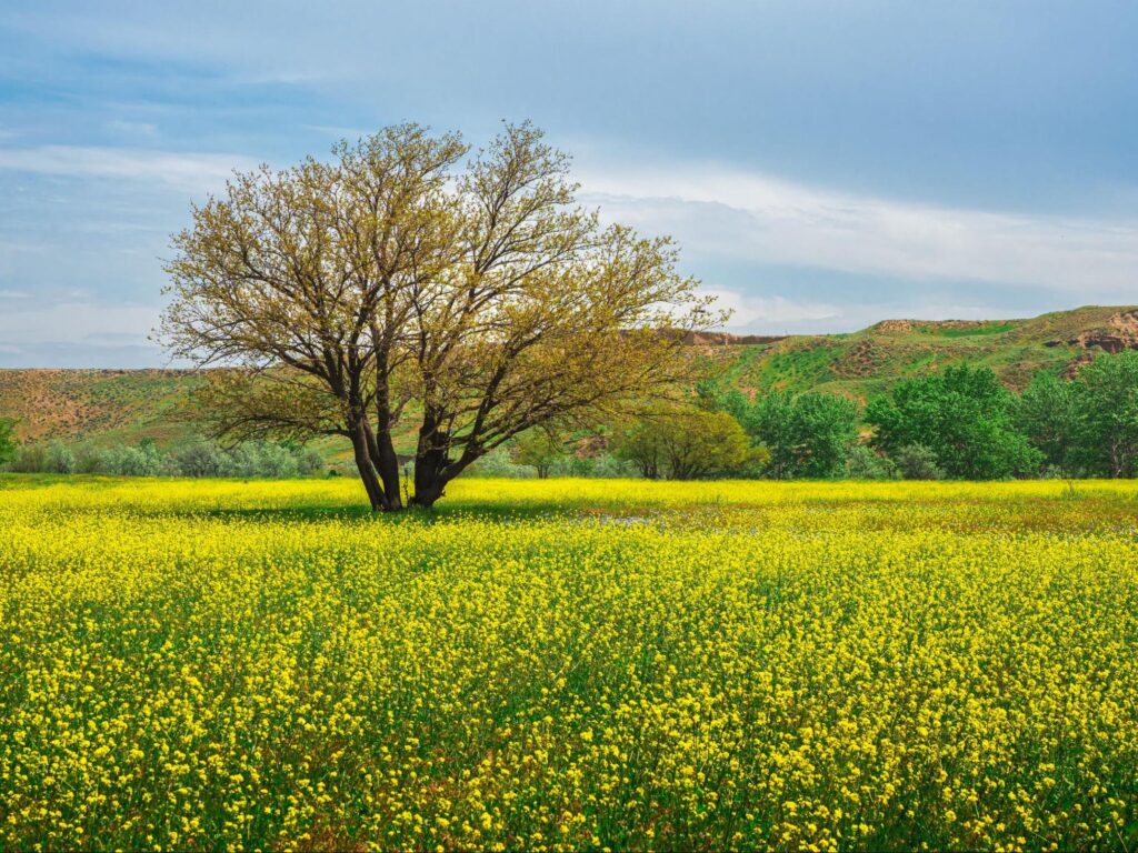 會 ⻑ 的 話（2026年4月）